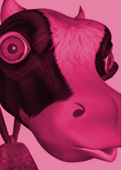 image link to Cow Faces